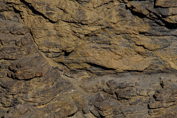 Mather snd son, Snow Leopard walk in the Rock. At Spiti Vallay, India.
