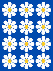 Weiße Blumen auf blauem Hintergrund

