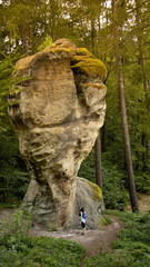 Fototapete bei efototapeten.de bestellen   