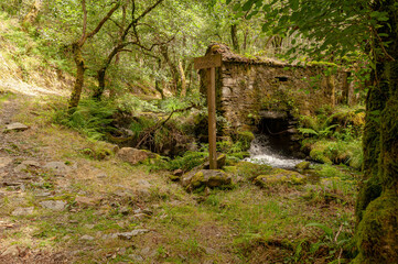 Gandaras river, Vilasantar, La Coruña, Galicia