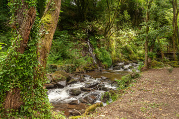 Gandaras river, Vilasantar, La Coruña, Galicia