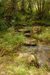 Gandaras river, Vilasantar, La Coruña, Galicia
