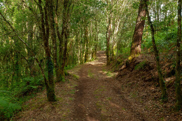 Gandaras river, Vilasantar, La Coruña, Galicia