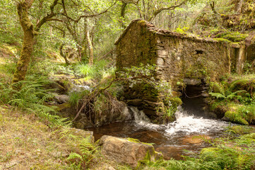 Gandaras river, Vilasantar, La Coruña, Galicia