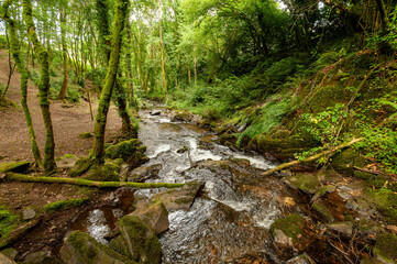 Gandaras river, Vilasantar, La Coruña, Galicia