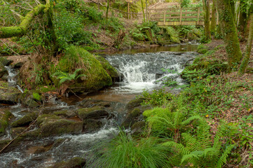Gandaras river, Vilasantar, La Coruña, Galicia