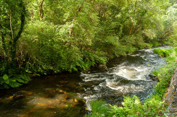 Gandaras river, Vilasantar, La Coruña, Galicia