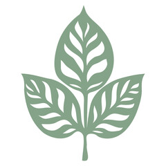 A green leaf-shaped icon with multiple smaller leaves within it, suggesting a natural, botanical design