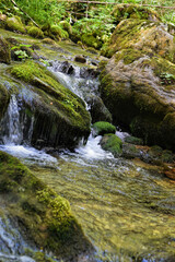 Photography of rocky river in wild with amazing green and moss details on rocks.