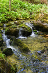 Photography of rocky river in wild with amazing green and moss details on rocks.