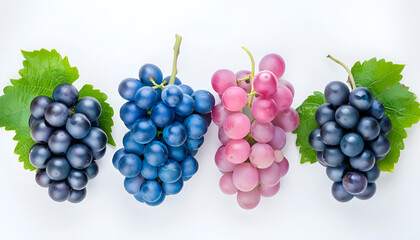 Fototapeta premium green pink and blue grapes with leaves isolated on the white background