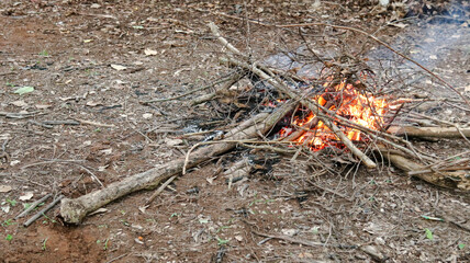 Image of a bonfire, to enhance people awareness of forest preservation and environment care.