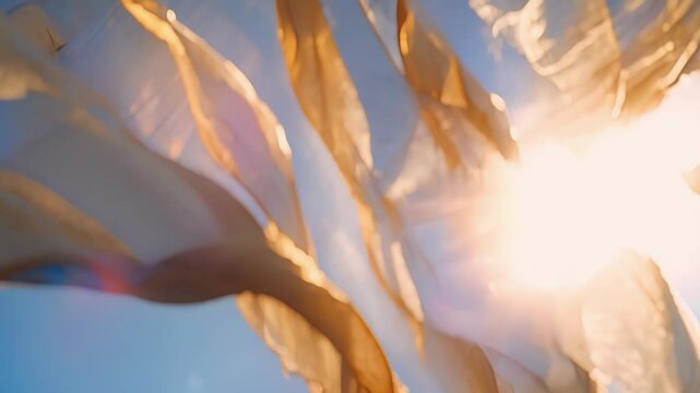 In the warm sun the fabric feels almost warm to the touch as if it has absorbed the energy of the flying circus.