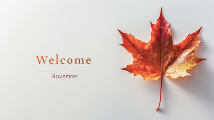 Simple and elegant design featuring a single autumn leaf and the text "Welcome November" on a white background perfect for seasonal greetings and decor.