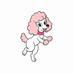 baby Poodle dancing a clean, white background.