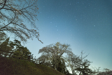 西行戻しの松公園の桜と星空