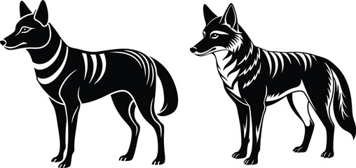 Obraz premium Vector silhouette image of Dingo.