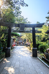 Serene Pathway Through Traditional Japanese Torii Gate, Enoshima, Japan