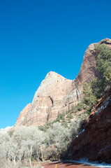 Experience the canyons and hiking paths of Zion National Park in Utah - a remote and desolate place where it is good to get away from it all