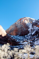 Experience the canyons and hiking paths of Zion National Park in Utah - a remote and desolate place where it is good to get away from it all