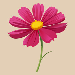 Cosmos Flower Vector Illustration for Design Projects