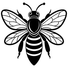 Honey Bee silhouettes and icons. Black flat color simple elegant white background Manatee animal vector and illustration.