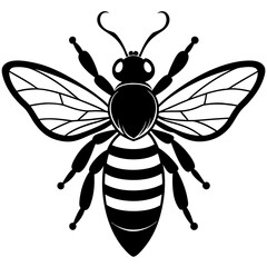 Honey Bee silhouettes and icons. Black flat color simple elegant white background Manatee animal vector and illustration.