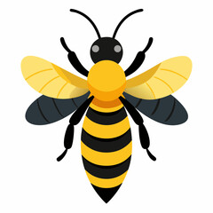 Honey Bee silhouettes and icons. Black flat color simple elegant white background Manatee animal vector and illustration.