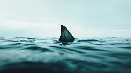 Shark fin emerging from the ocean surface, depicting a sense of danger and mystery in the deep sea. Ideal for marine and wildlife concept visuals.