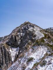 残雪期の西ギボシ