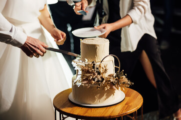Happy newlyweds cutting their wedding cake