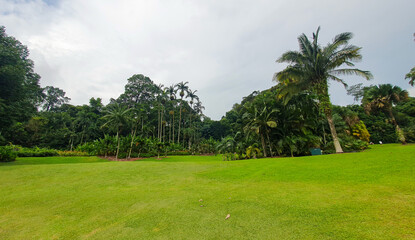 Fototapeta premium Natural Landscape Of Singapore Botanic Gardens. Botanic Gardens Is The First UNESCO World Heritage Site Of Singapore.