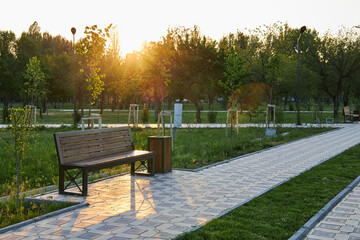 Summer evening in the city park. Green lawn, paving stones, walking path, wooden bench, sunset...