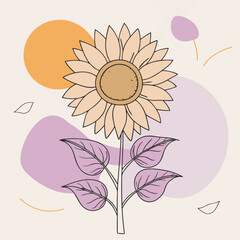 sunflower vector illustration design and arts.