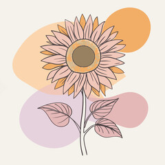 sunflower vector illustration design and arts.