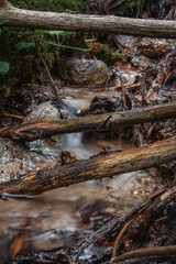 stream, brook, nature, water