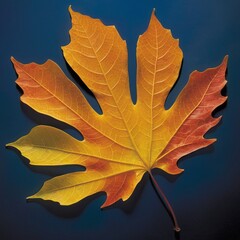 Fototapeta premium The Mystery of Leaf Beauty