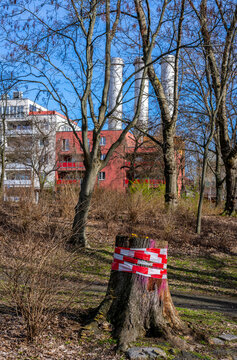 mit Sicherungsband umwickelter Baumstamm,  Berlin, Deutschland