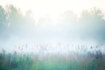 Obraz premium Fog in the field. Evening nature summer with white fog.