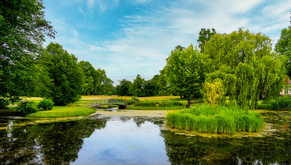 Landschaft im Nationalpark Unteres Odertal, Criewen, Brandenburg, Deutschland