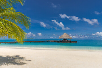 Beautiful panoramic exotic coast. Luxury hotel with water villa pier palm tree leaves over white sand, close to blue sea, seascape. Best summer vacation tourism, beachfront resort on tropical island