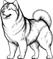 Dog vector illustration