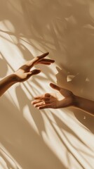 two hands reaching towards each other, casting long shadows on the wall behind them