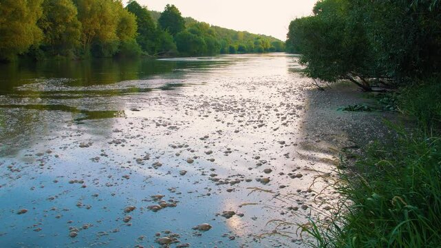 Pollution of the river by wastewater from the food industry. Discharge of food waste into the river. The waste is poured into the river and it foams and bubbles on the water. 