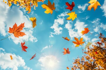 colorful autumn leaves flying against blue sunny sky