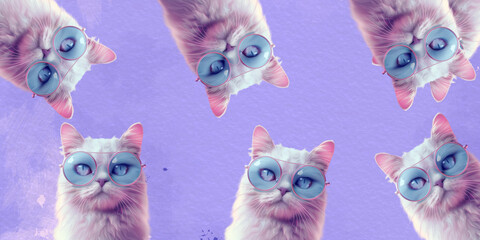 Fototapeta premium cat take a glass with background purple 