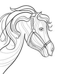 Illustration of a black and white anti-stress coloring book with a horse's head in vector. Vector illustration