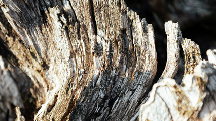 Embossed creative texture of broken old wood