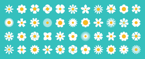 white daisy chamomile set. Cute round flower plant nature collection. Growing concept. Spring summer decoration element. Flat symbol shape. Green Background. Isolated. Radial symmetry wild flowers