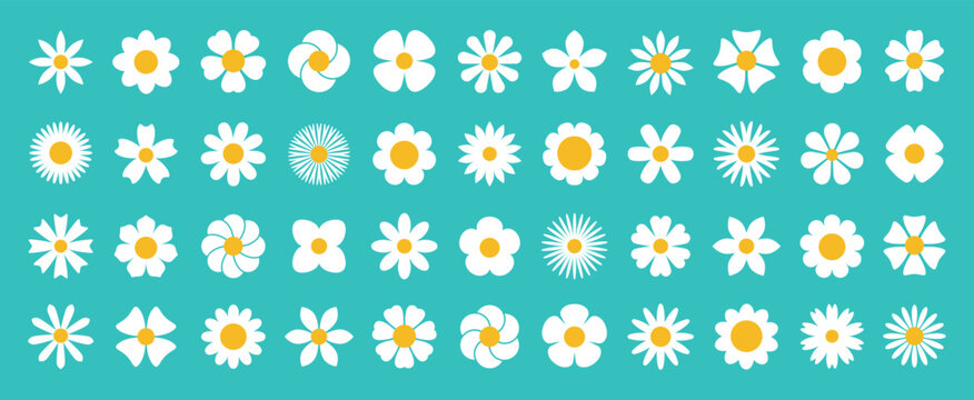 white daisy chamomile set. Cute round flower plant nature collection. Growing concept. Spring summer decoration element. Flat symbol shape. Green Background. Isolated. Radial symmetry wild flowers